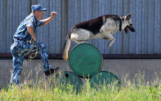 Russia Dog Handlers Competition