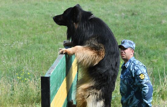 Russia Dog Handlers Competition