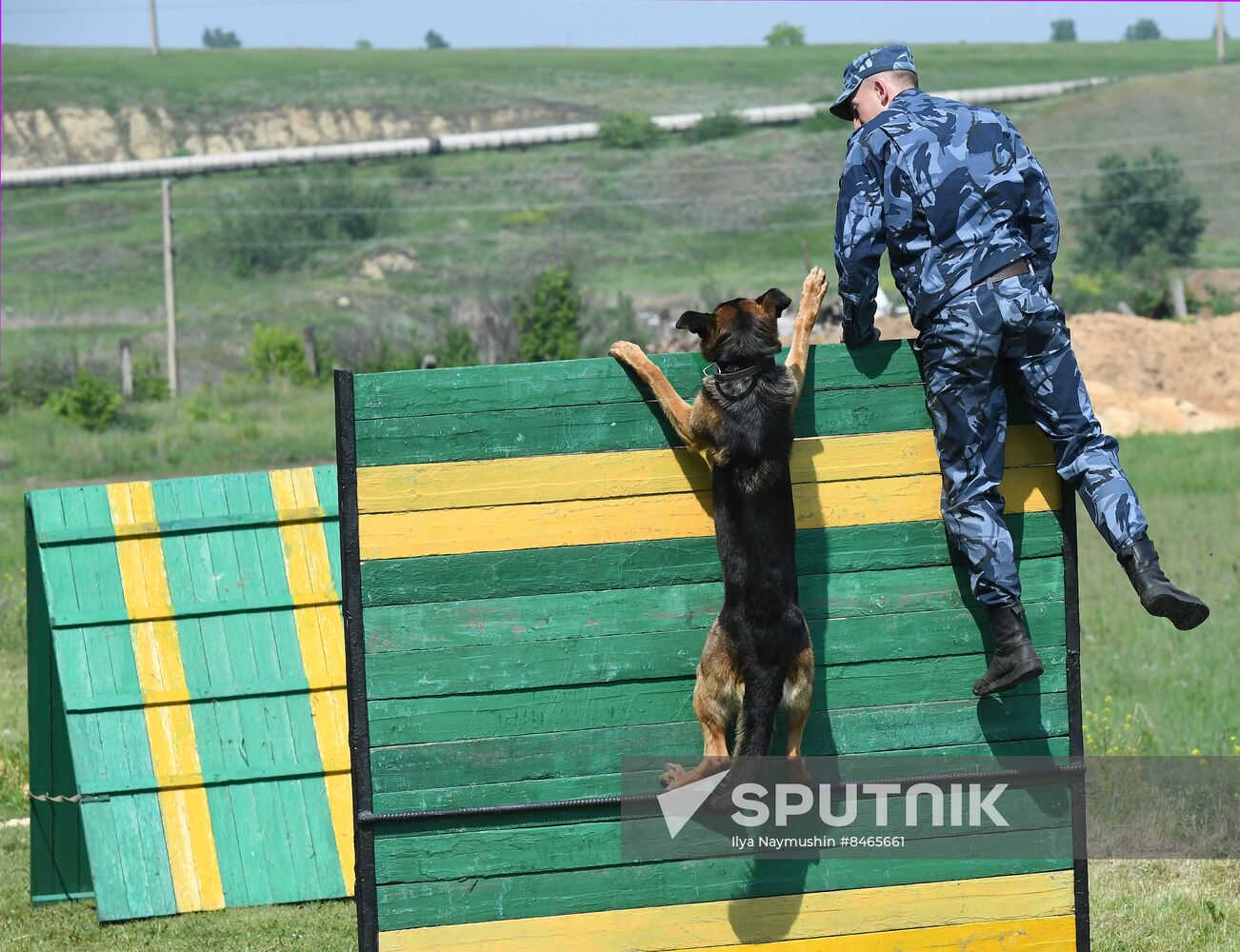 Russia Dog Handlers Competition