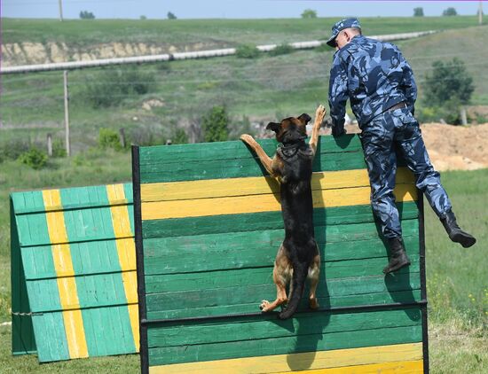 Russia Dog Handlers Competition