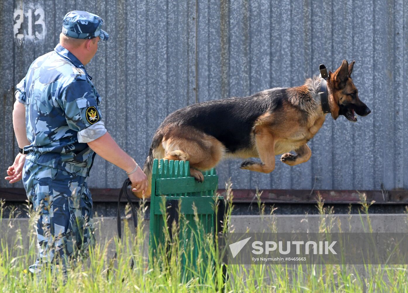 Russia Dog Handlers Competition