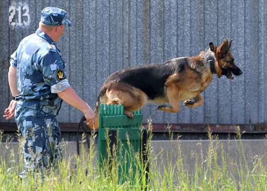 Russia Dog Handlers Competition