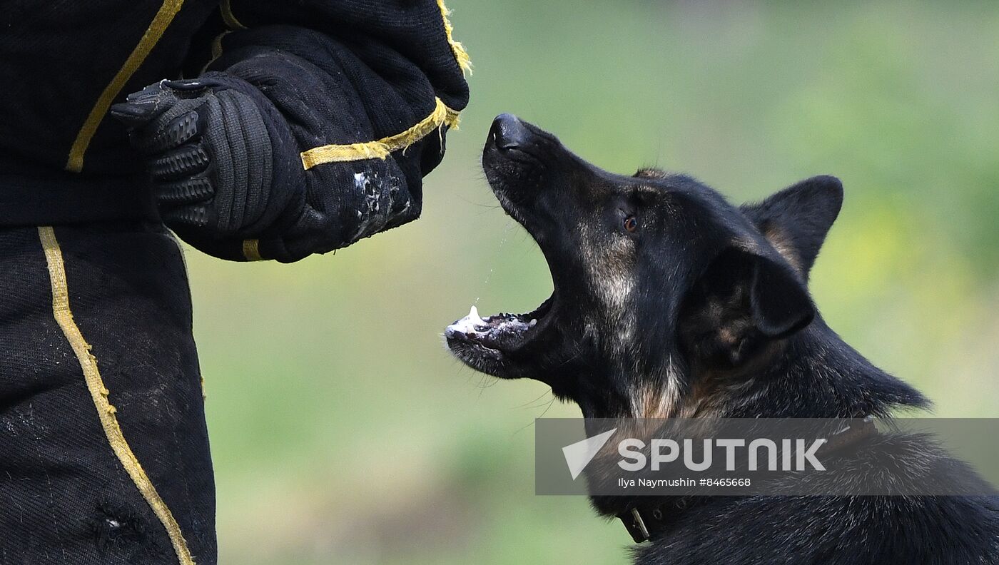 Russia Dog Handlers Competition
