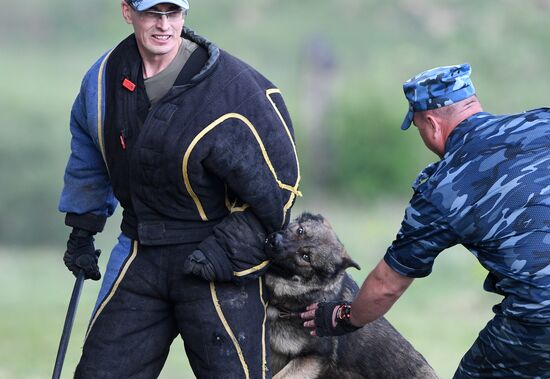 Russia Dog Handlers Competition