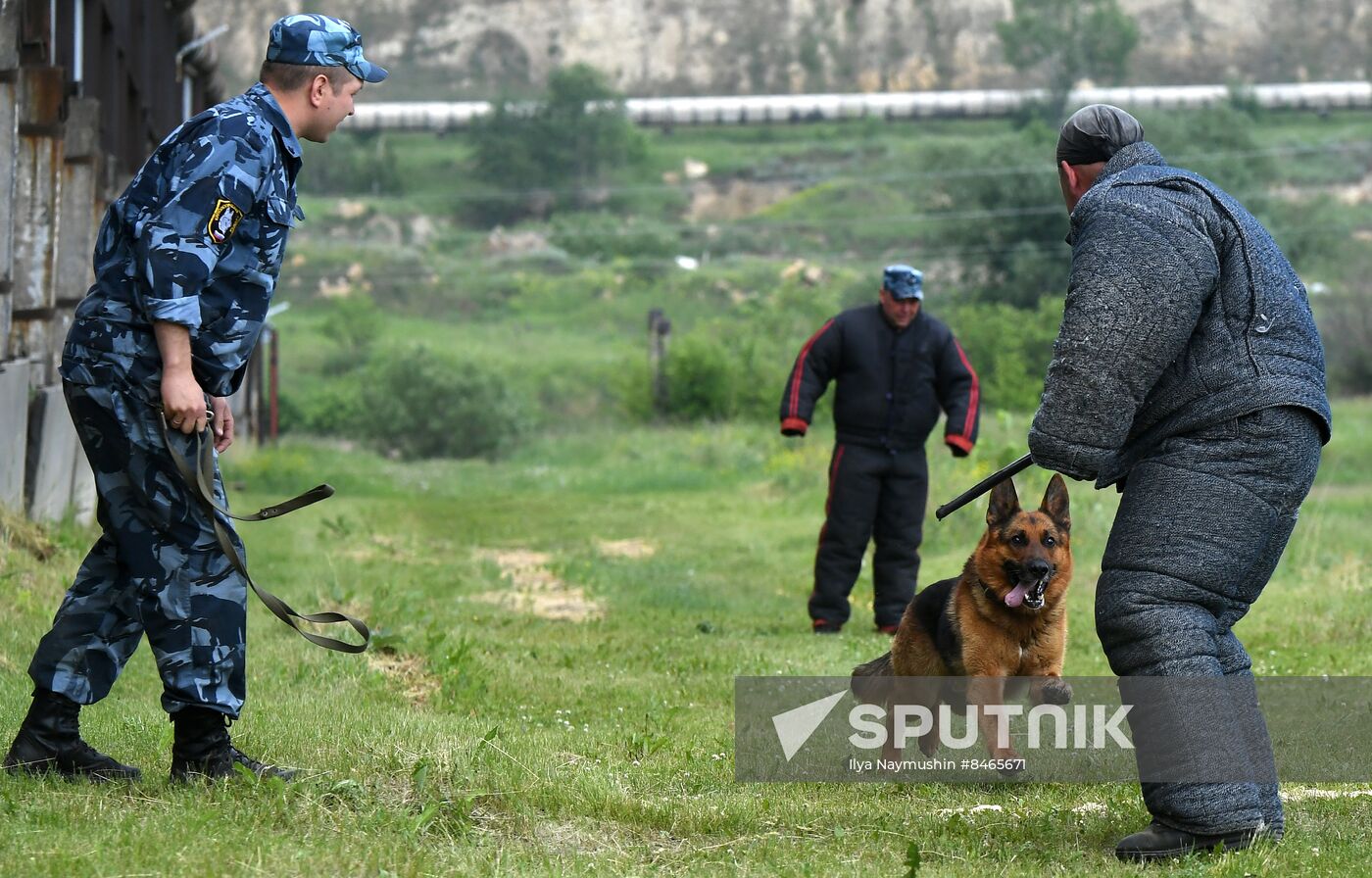 Russia Dog Handlers Competition