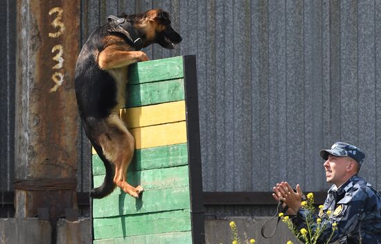 Russia Dog Handlers Competition