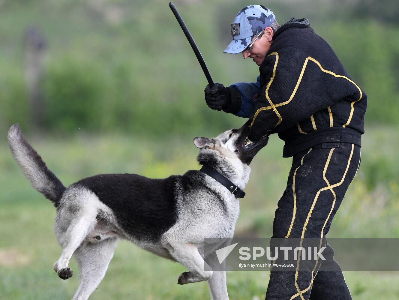 Russia Dog Handlers Competition