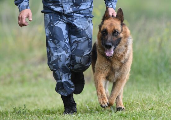 Russia Dog Handlers Competition