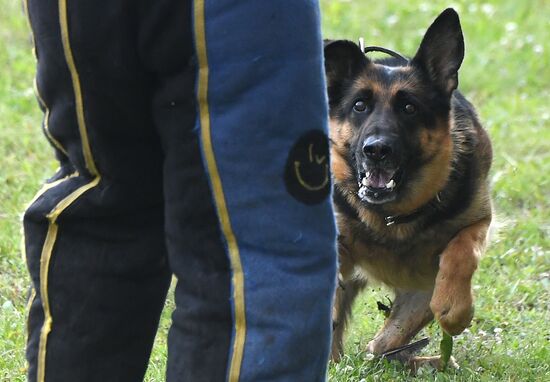 Russia Dog Handlers Competition