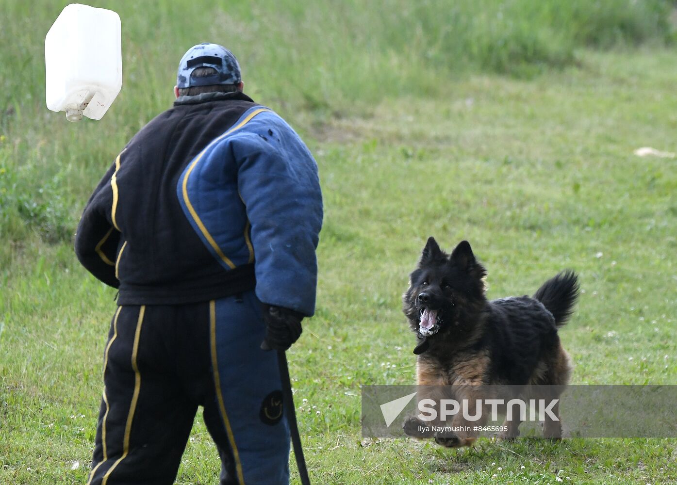 Russia Dog Handlers Competition