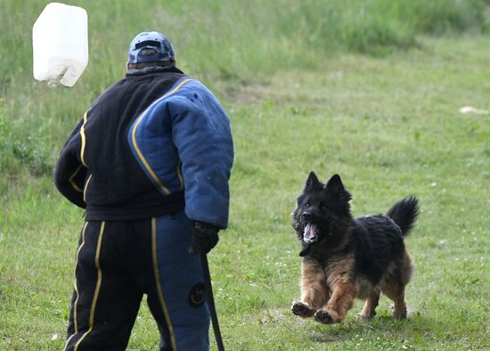 Russia Dog Handlers Competition