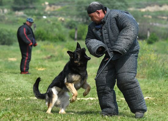 Russia Dog Handlers Competition