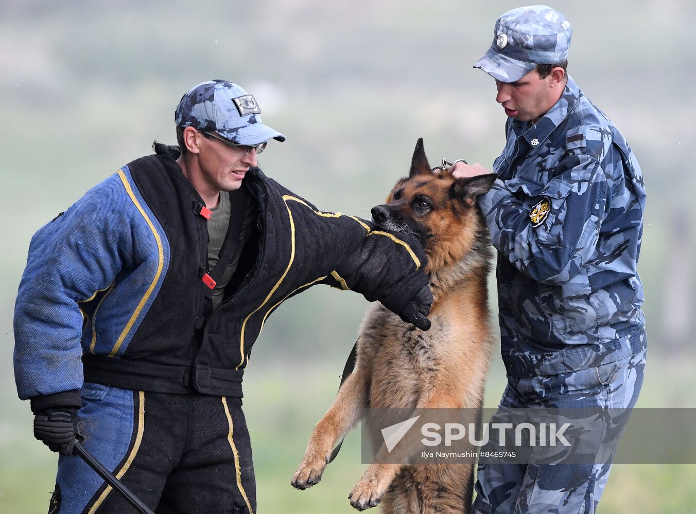 Russia Dog Handlers Competition