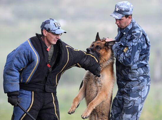Russia Dog Handlers Competition