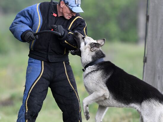 Russia Dog Handlers Competition