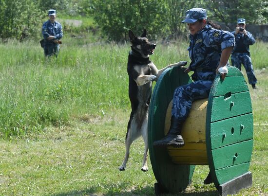Russia Dog Handlers Competition