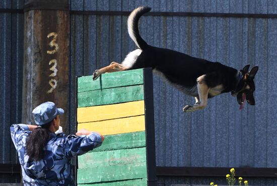 Russia Dog Handlers Competition