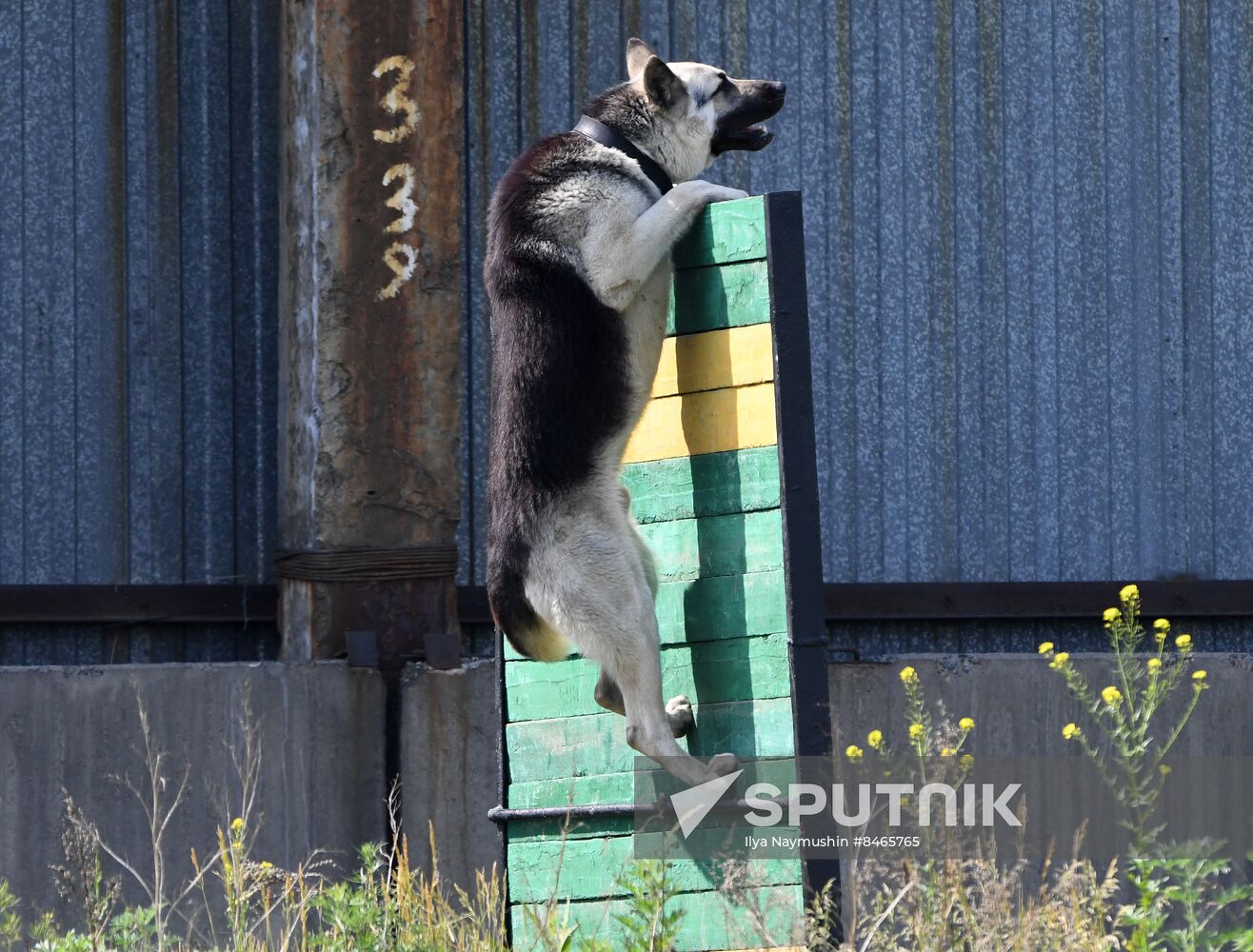 Russia Dog Handlers Competition