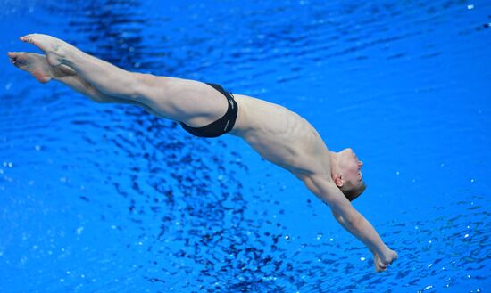 Russia Diving Championship Springboard Men