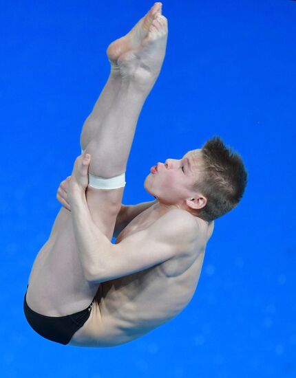 Russia Diving Championship Springboard Men