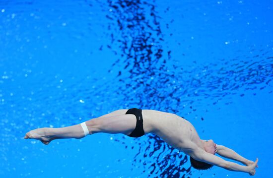 Russia Diving Championship Springboard Men