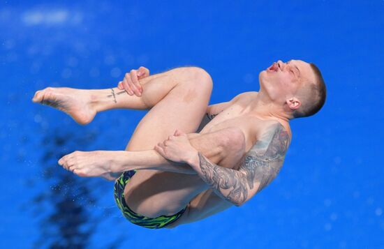 Russia Diving Championship Springboard Men