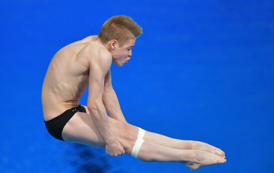 Russia Diving Championship Springboard Men