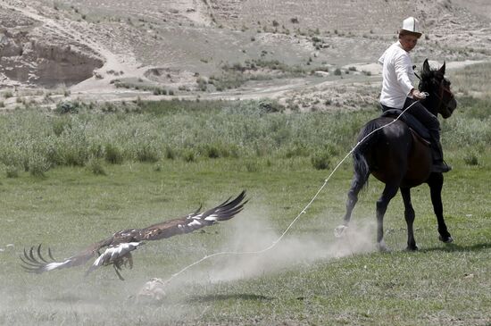 Kyrgyzstan Traditional Felt Carpet Festival