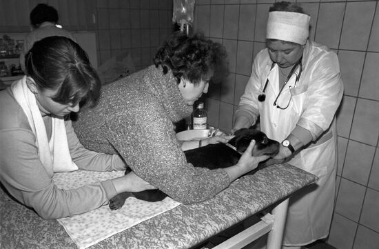 Ecovet Veterinary Clinic