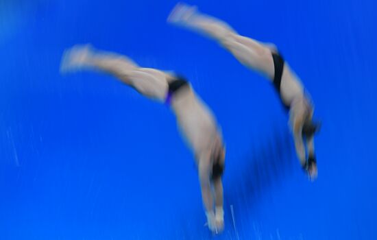 Russia Diving Championship Planform Mixed