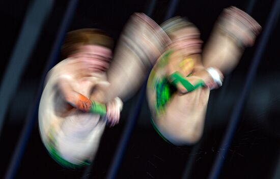 Russia Diving Championship Planform Mixed