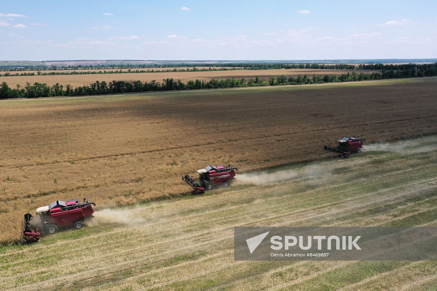 Russia Agriculture Grain Crops Harvesting