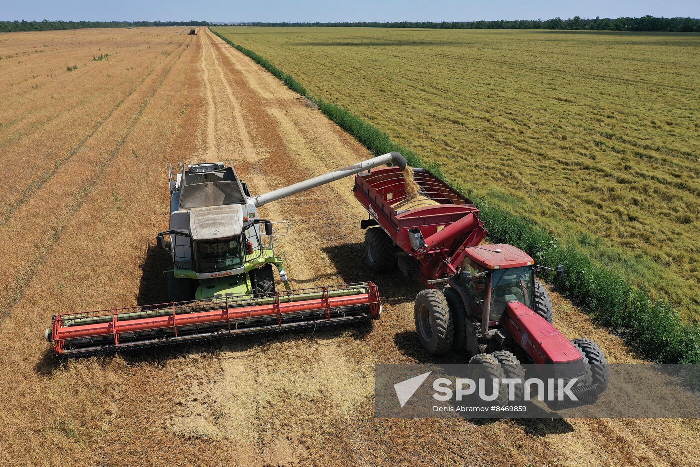 Russia Agriculture Grain Crops Harvesting