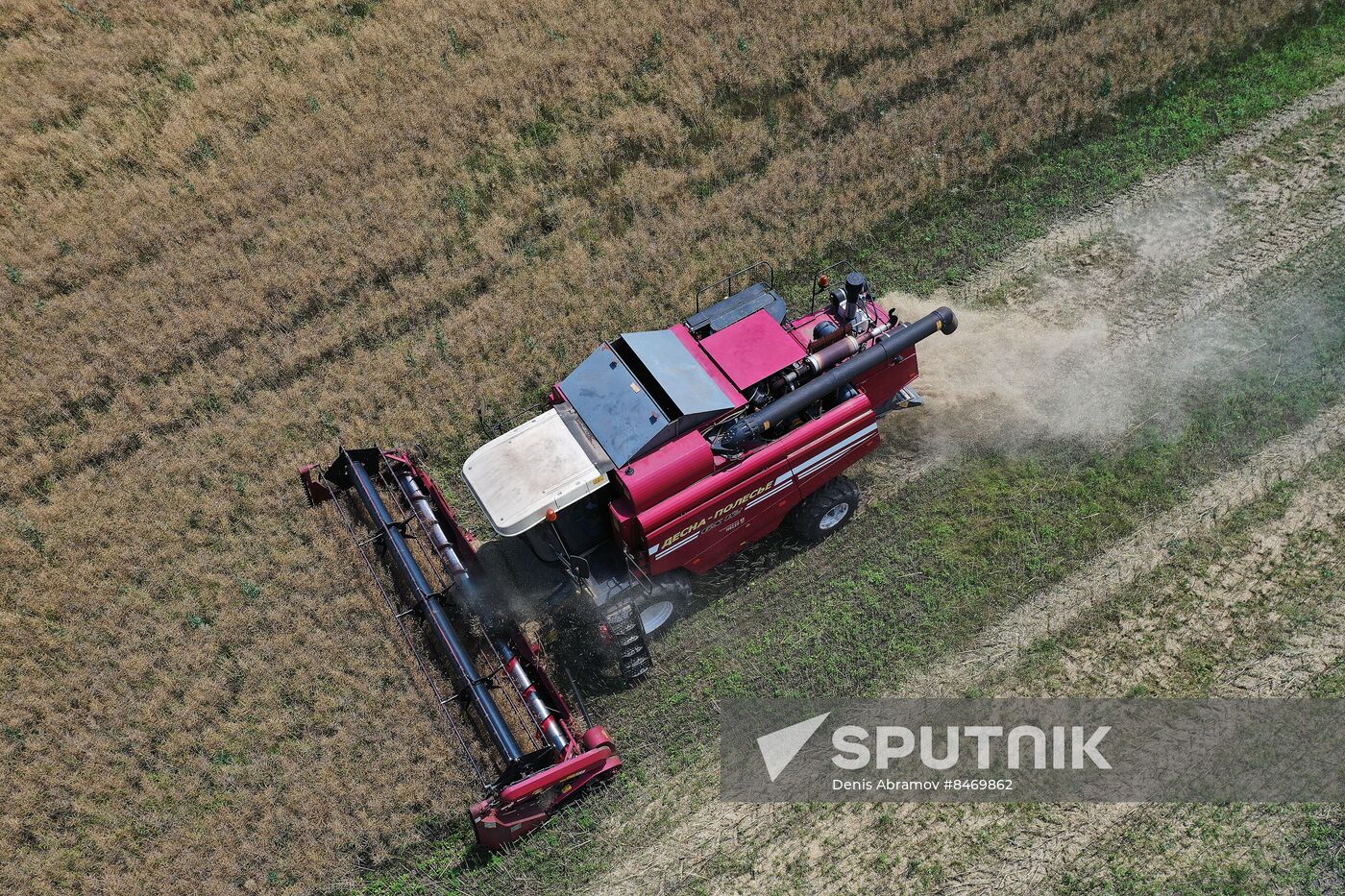 Russia Agriculture Grain Crops Harvesting