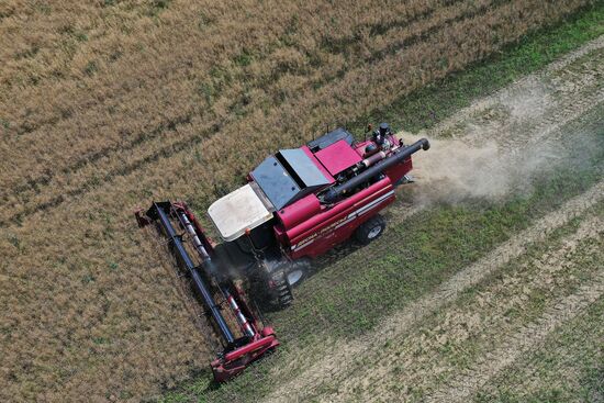 Russia Agriculture Grain Crops Harvesting