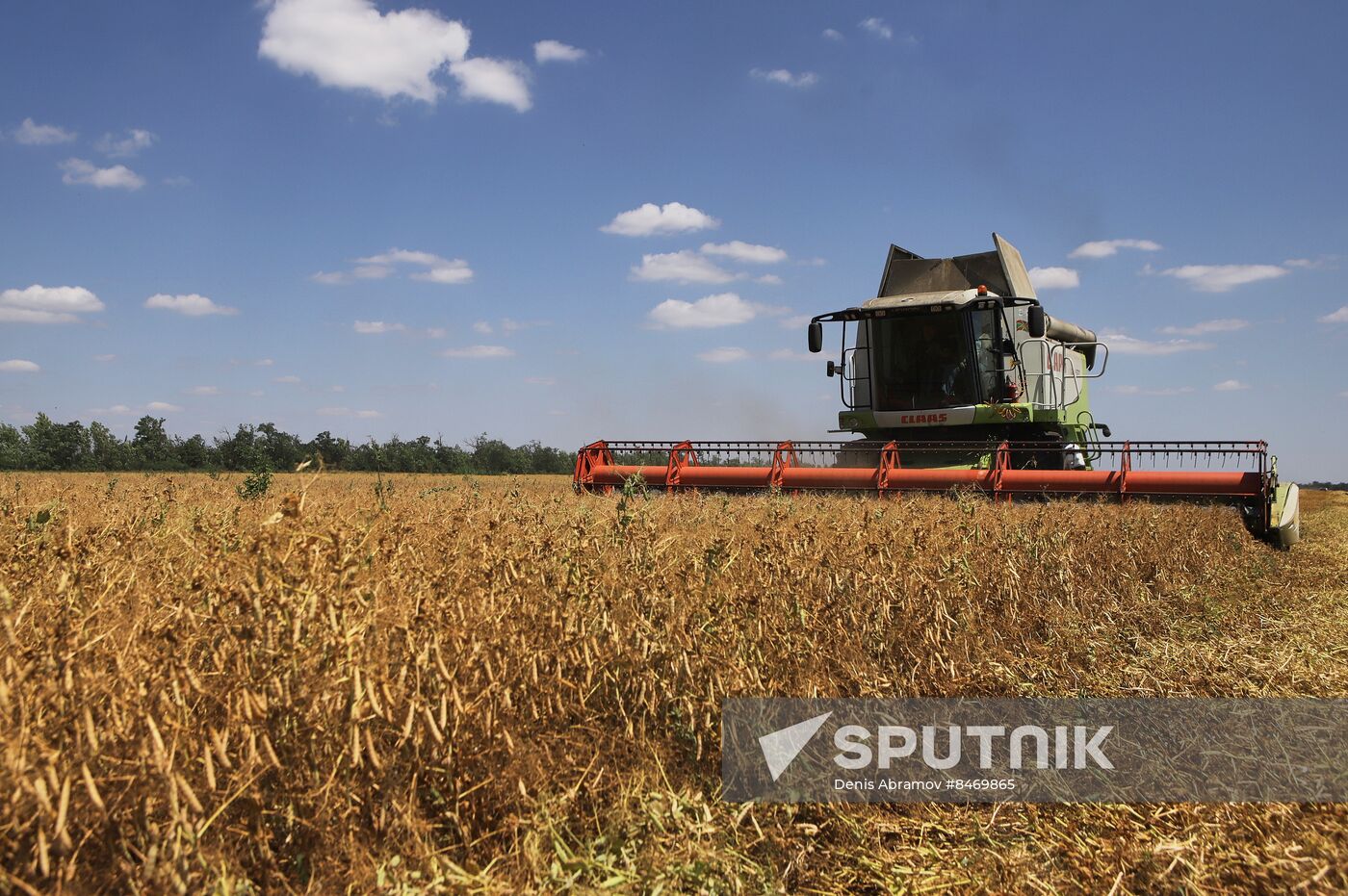 Russia Agriculture Grain Crops Harvesting