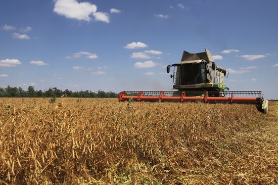 Russia Agriculture Grain Crops Harvesting