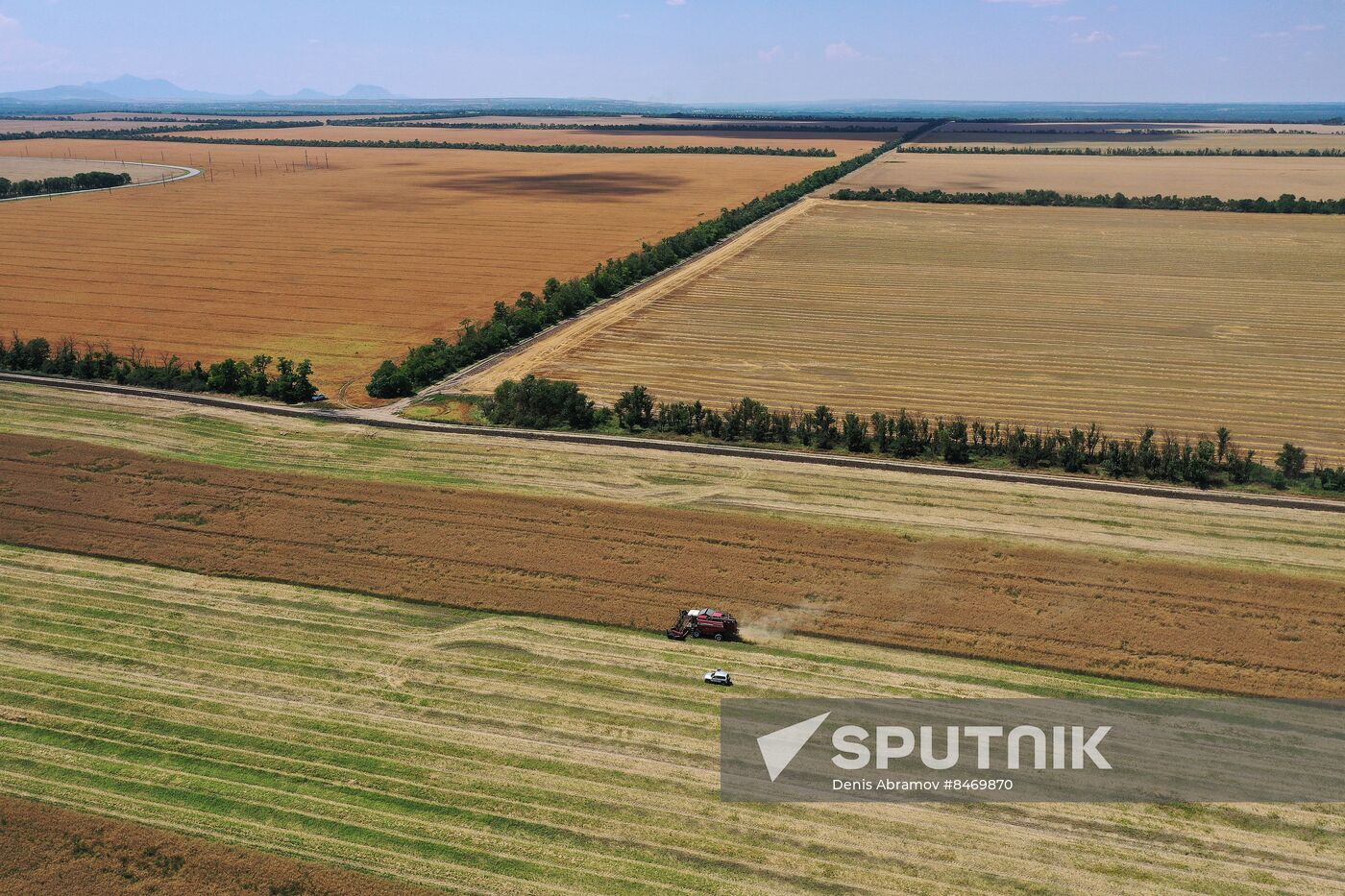 Russia Agriculture Grain Crops Harvesting