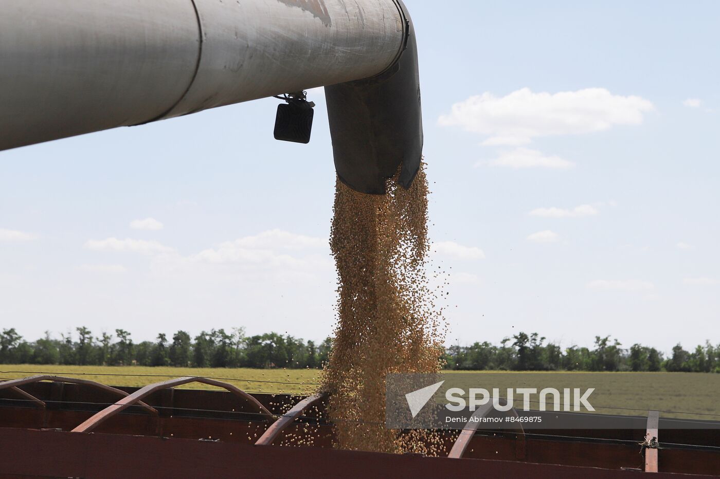 Russia Agriculture Grain Crops Harvesting