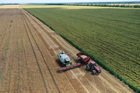 Russia Agriculture Grain Crops Harvesting