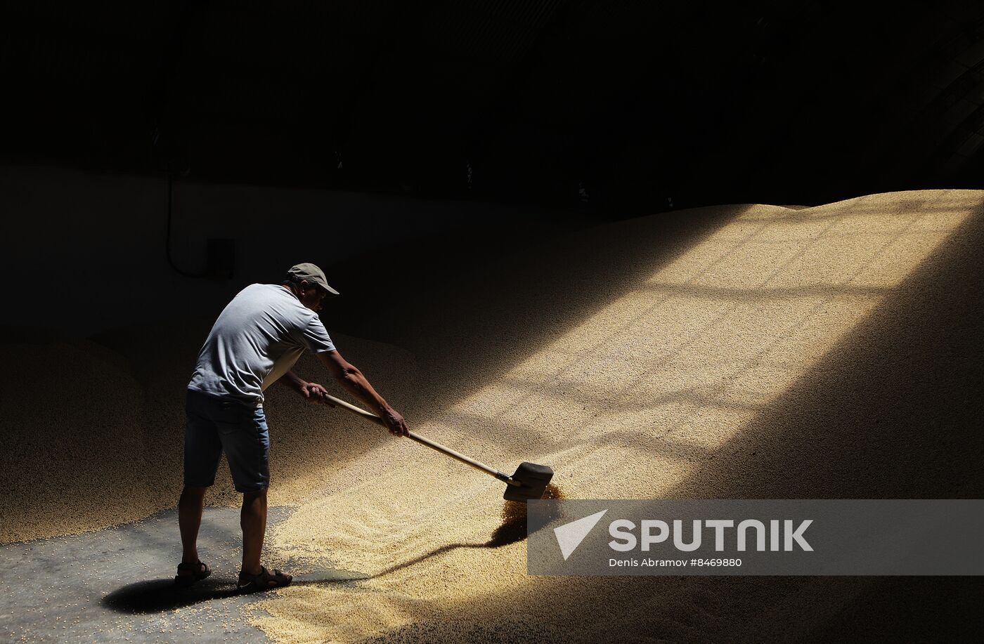 Russia Agriculture Grain Crops Harvesting