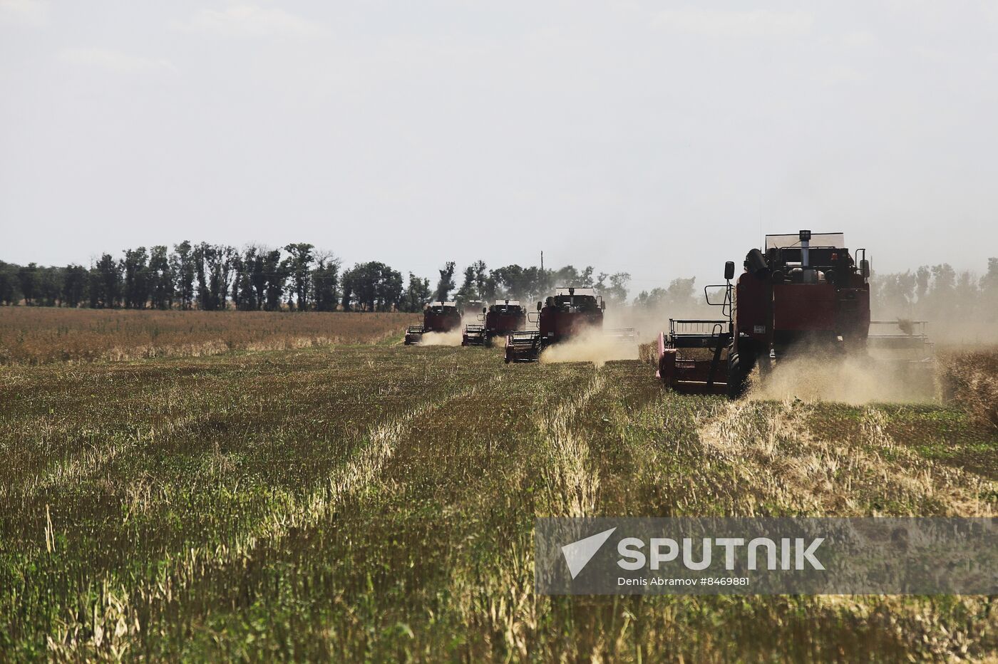 Russia Agriculture Grain Crops Harvesting