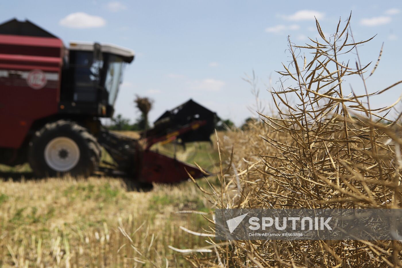 Russia Agriculture Grain Crops Harvesting