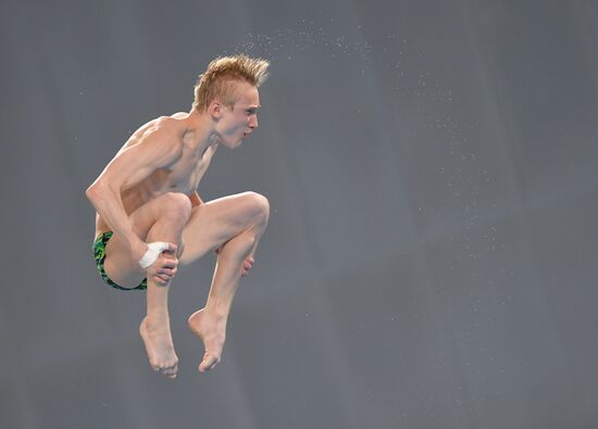 Russia Diving Championship Planform Men
