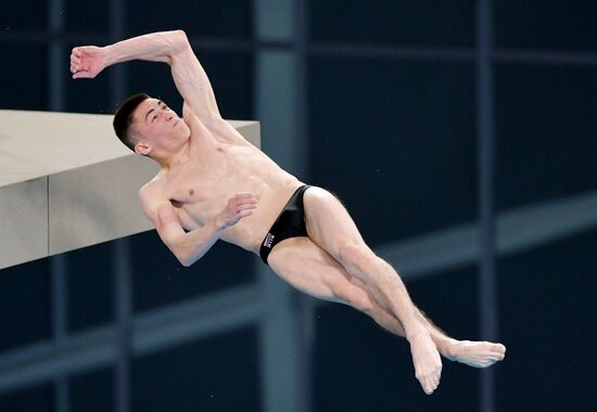 Russia Diving Championship Planform Men