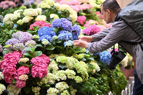 Russia Flowers Festival