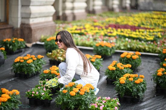Russia Flowers Festival