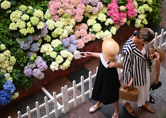 Russia Flowers Festival