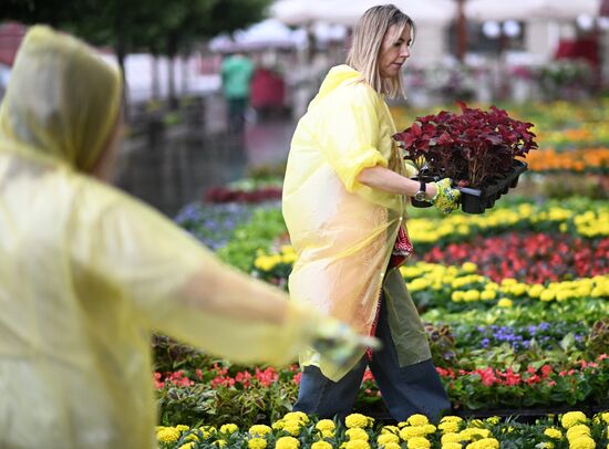 Russia Flowers Festival