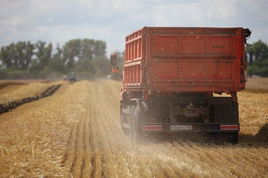 Russia Agriculture Wheat Harvesting